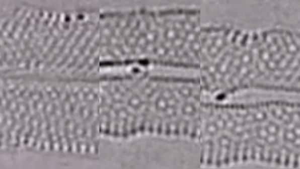 Watch: First-ever recording of a pair of atoms forming, breaking chemical bonds