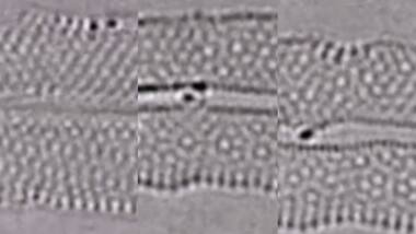 Watch: First-ever recording of a pair of atoms forming, breaking chemical bonds