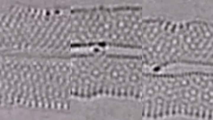 Watch: First-ever recording of a pair of atoms forming, breaking chemical bonds
