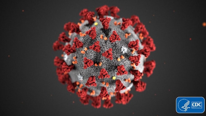 Scientists are still searching for a name for the novel coronavirus that started in Wuhan