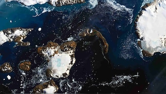 After high temperatures recorded in Antarctica, NASA images show continent's brown barren land