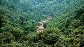 India's forest cover increasing but lower than forest policy target of 33 percent: MoEFCC