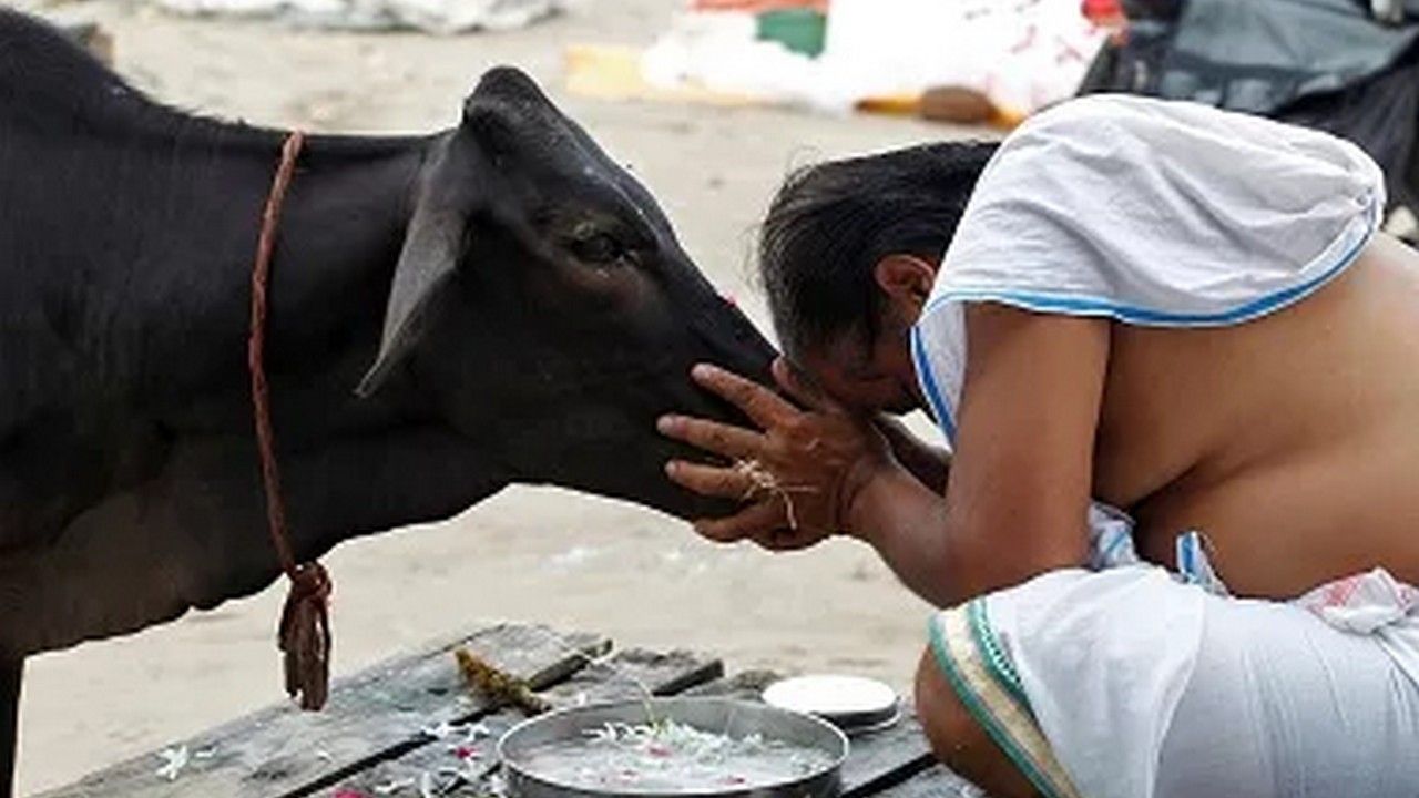 www.firstpost.com