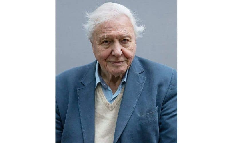 David Attenborough. Photo credit: Facebook @doitfordavidattenborough.