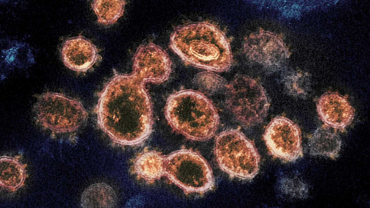 Coronavirus Outbreak: Busting 12 common misconceptions you may have about COVID-19 Coronavirus Outbreak: Busting 12 common misconceptions you may have about COVID-19