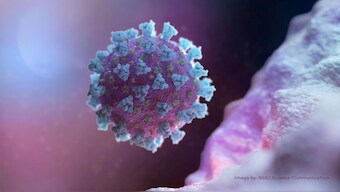Scientists identify target for SARS-CoV-2 virus in cells that may advance COVID-19 drug development