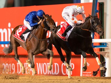 Coronavirus Outbreak: Dubai World Cup 2020 postponed as COVID-19 outbreak worsens in UAE Coronavirus Outbreak: Dubai World Cup 2020 postponed as COVID-19 outbreak worsens in UAE