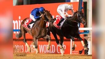 Coronavirus Outbreak: Dubai World Cup 2020 postponed as COVID-19 outbreak worsens in UAE