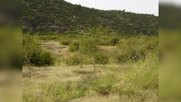 India's 40% environment-related crimes reported from Rajasthan in 2014-16, violation of Forest Conservation Act tops chart: CAG