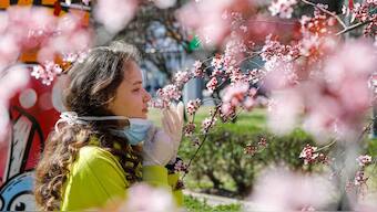 Coronavirus Outbreak: Covid-19 may cause loss of sense of smell, taste; potentially useful screening tool in mild cases