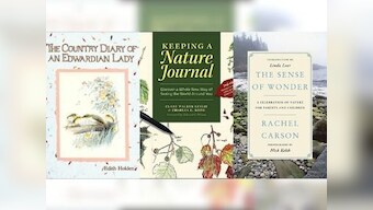 In times of climate crisis, why nature-journalling can be a simple, yet potent tool to build intimacy with nature