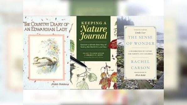 In times of climate crisis, why nature-journalling can be a simple, yet potent tool to build intimacy with nature