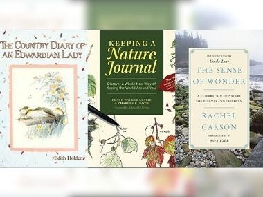In times of climate crisis, why nature-journalling can be a simple, yet potent tool to build intimacy with nature