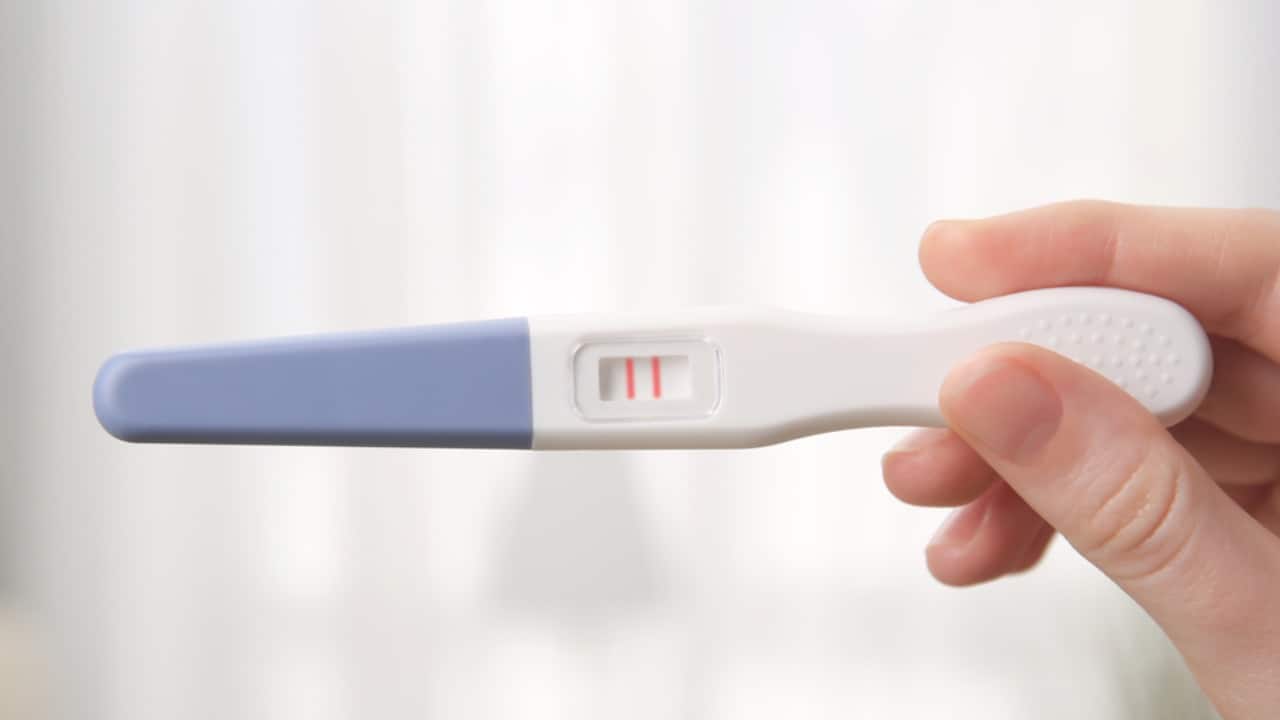 New rapid testers could look a bit like a pregnancy test. Image: Africa Studio