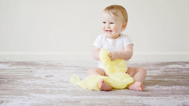 Top potty seats for your toddler Top potty seats for your toddler