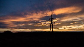 Novel network of more than 100 telescopes will hunt for signs of alien life in space