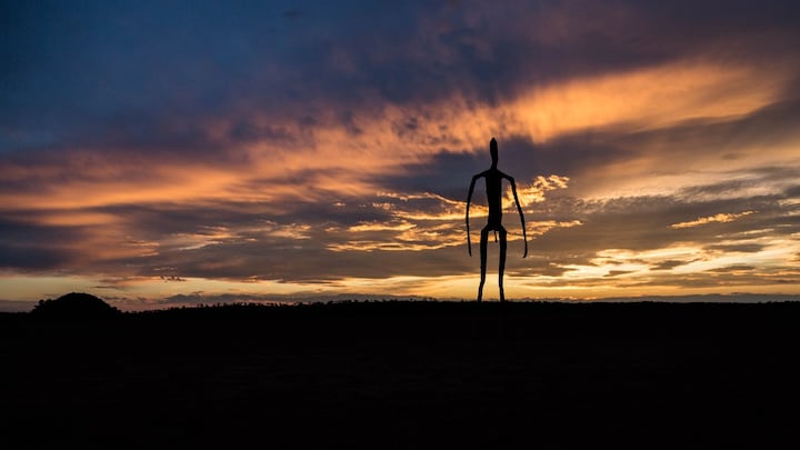 Novel network of more than 100 telescopes will hunt for signs of alien life in space