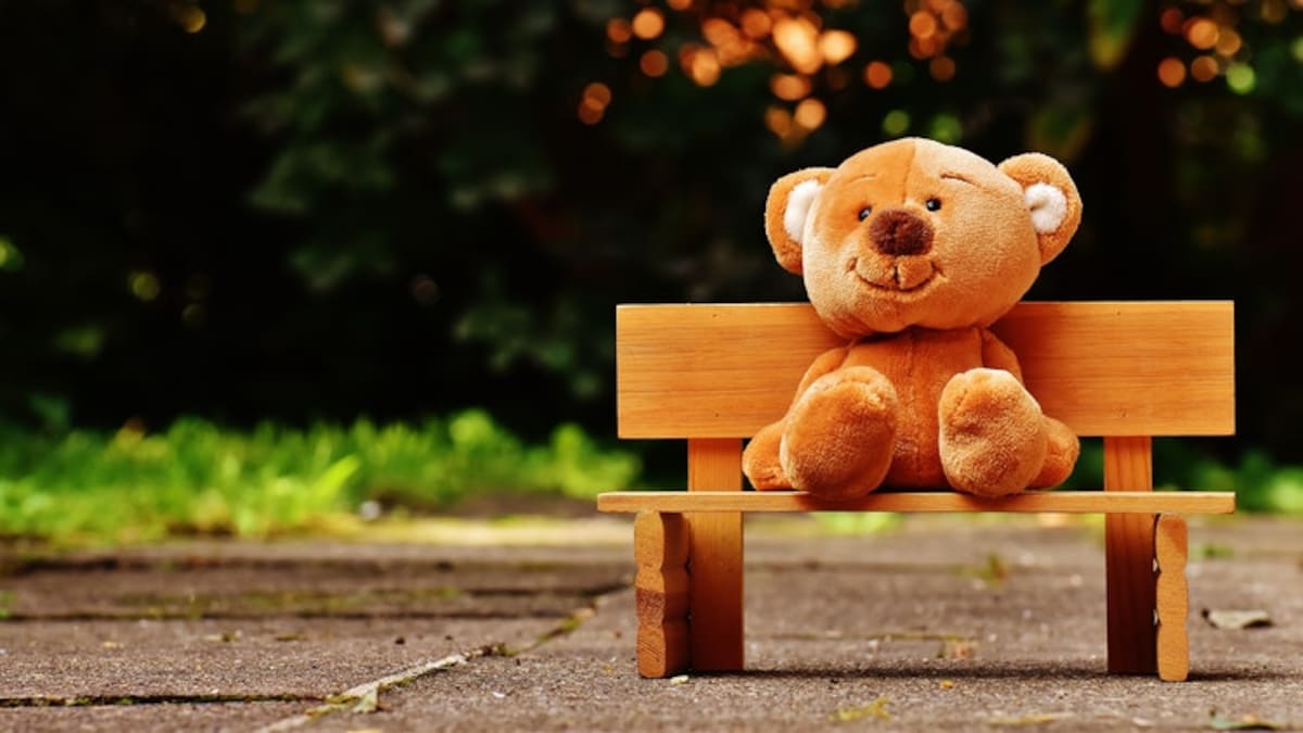 Teddy Day: By giving teddy, you have to talk about your heart, first know  how it happened, on this day the Bear started calling Teddy