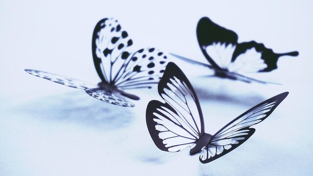 Easy decals to update your home. Easy decals to update your home.