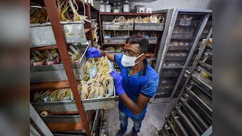 Coronavirus Outbreak: WHO launches health alert on WhatsApp over COVID-19 pandemic