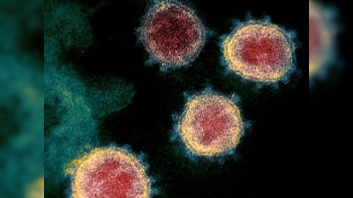 Coronavirus Outbreak: Italy sees rise in toll by 662 in 24 hours, taking total number of deaths to 8,165