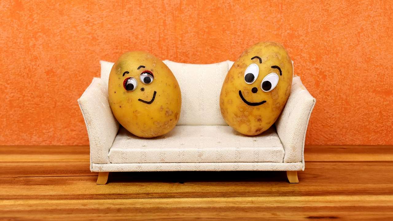 Social Distancing, Epidemic, Contact tracing and other Coronavirus-related jargon explained Social Distancing, Epidemic, Contact tracing and other Coronavirus-related jargon explained