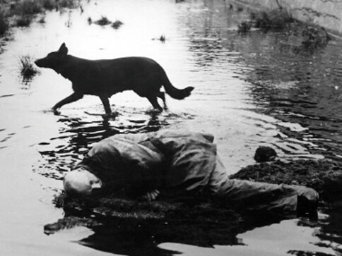 A big screen Andrei Tarkovsky retrospective offers perfect setting for viewing the master's cinema A big screen Andrei Tarkovsky retrospective offers perfect setting for viewing the master's cinema