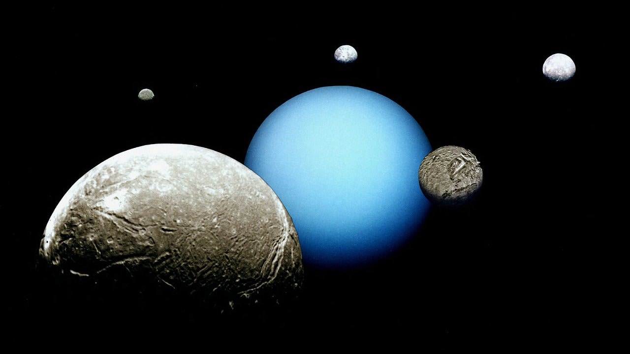  Uranus and its five major moons are depicted in this montage of images acquired by the Voyager 2 spacecraft. Image credit: Wikipedia