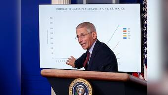 Dr Anthony Fauci, key member of White House's coronavirus task force, gets featured on cupcakes, apparel, candles