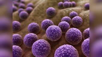 Coronavirus Outbreak: Read an excerpt from Superbugs which outlines the difficulties of making antibiotics
