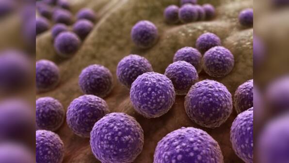 Coronavirus Outbreak: Read an excerpt from Superbugs which outlines the difficulties of making antibiotics