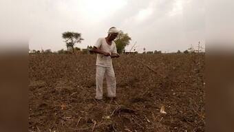 In Karnataka's Boragaon, farmers suffer losses worth lakhs in lockdown merely months after damaging floods