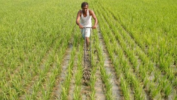COVID-19 Impact: Transfer outstanding crop loans to govt account, says Maharashtra to banks