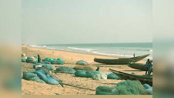 Despite fishing activities being exempted under lockdown, fisherfolk in Odisha say workforce, logistics, market situation major hurdles in wake of COVID-19