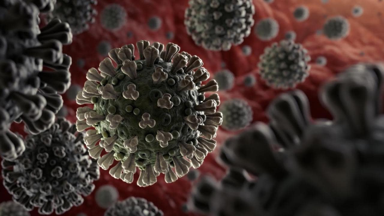 Representational Image of SARS-CoV-2 in the bloodstream. Credit: WHO
