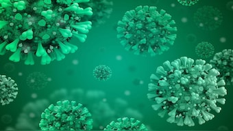 COVID-19 affects the nervous system of an infected individual, including the brain, spinal cord, nerves, and muscles