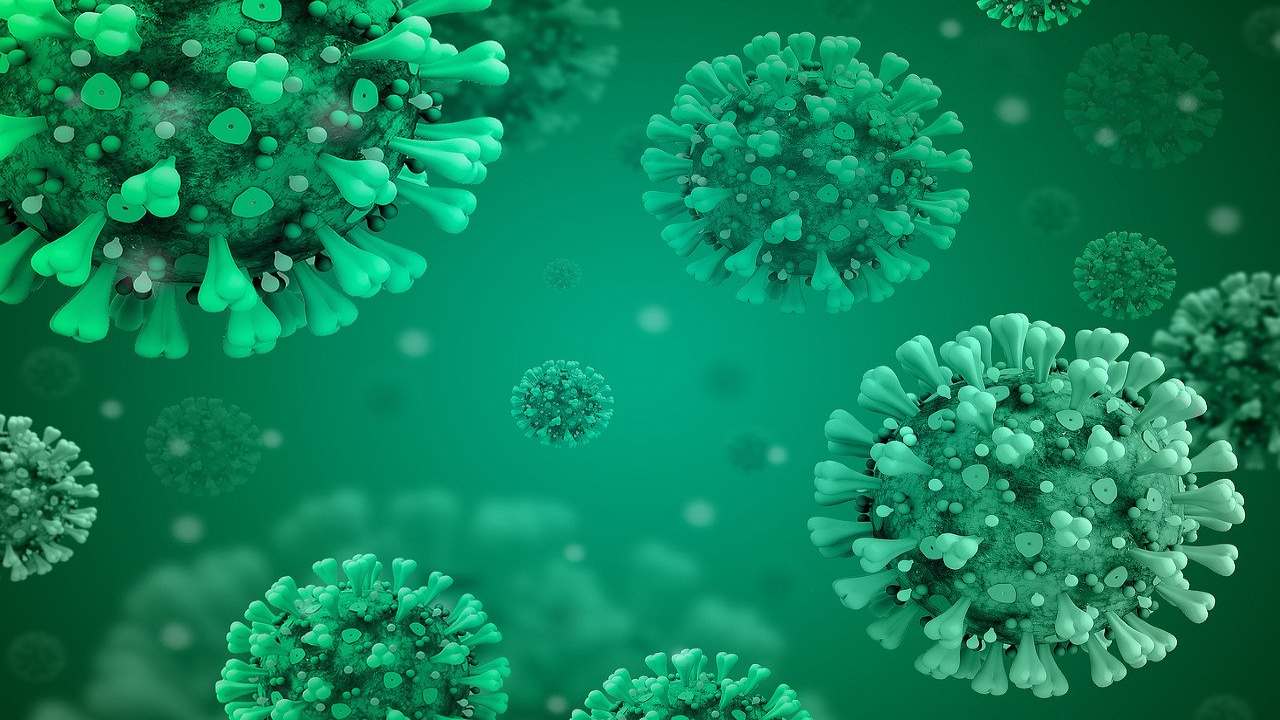 New coronavirus strains now in dozens of countries, says WHO urging that nations be vigilant New coronavirus strains now in dozens of countries, says WHO urging that nations be vigilant