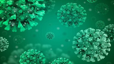 COVID-19 affects the nervous system of an infected individual, including the brain, spinal cord, nerves, and muscles