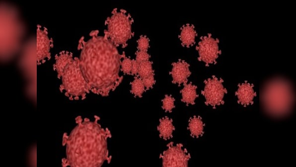 Israel isolates key coronavirus antibody in 'significant breakthrough' in quest for treatment for infection, claims defence minister