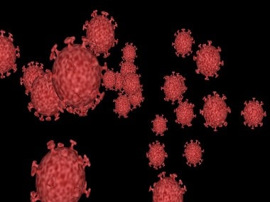 Coronavirus Outbreak: COVID-19 weakens when exposed to sunlight, heat, and humidity, claims US official