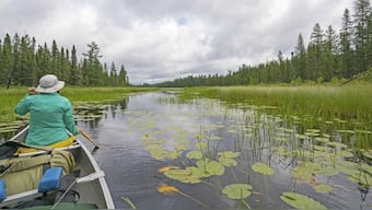Earth Day: Wildlife are exposed to more pollution than we had previously thought