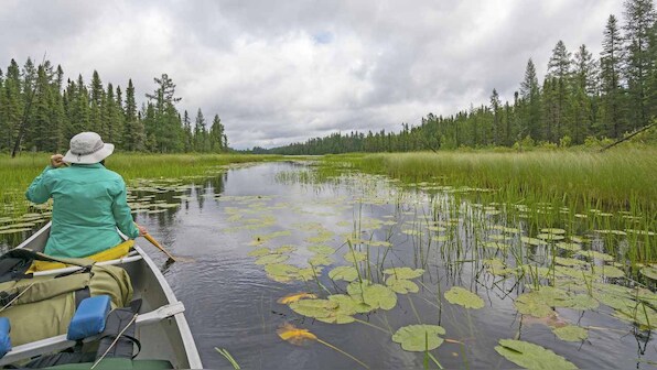 Earth Day: Wildlife are exposed to more pollution than we had previously thought