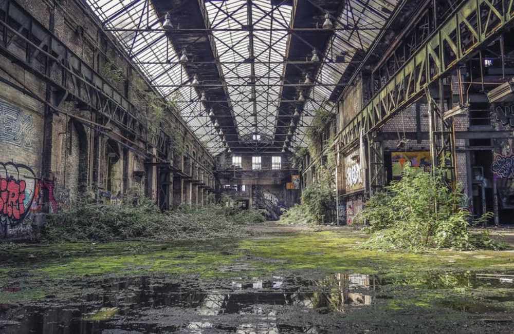 Nature can reclaim places that have been totally abandoned for years, creating novel ecosystems. 