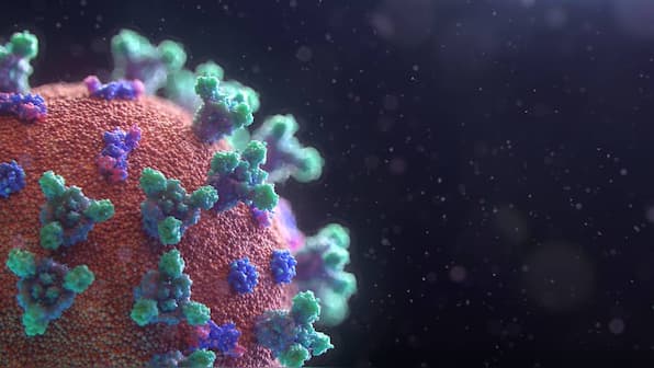 Coronavirus Outbreak: Mass disinfection of people is a health hazard says disease experts