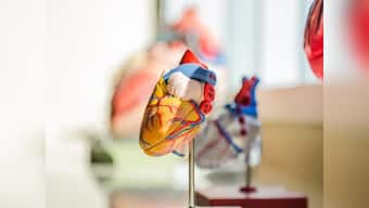 How does COVID-19 affect the heart?
