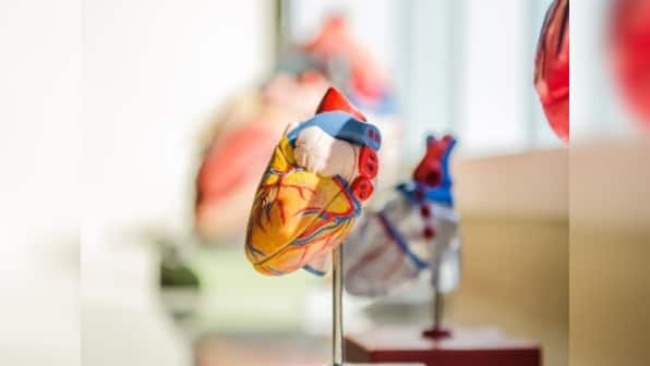 How does COVID-19 affect the heart?