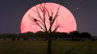 Super Pink Moon 2020: What is a Super Pink moon? Catch the biggest, brightest full moon in India today, 8.05 am IST