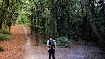 Stress can rob you of your decision making abilities and affect your capacity to formulate plans
