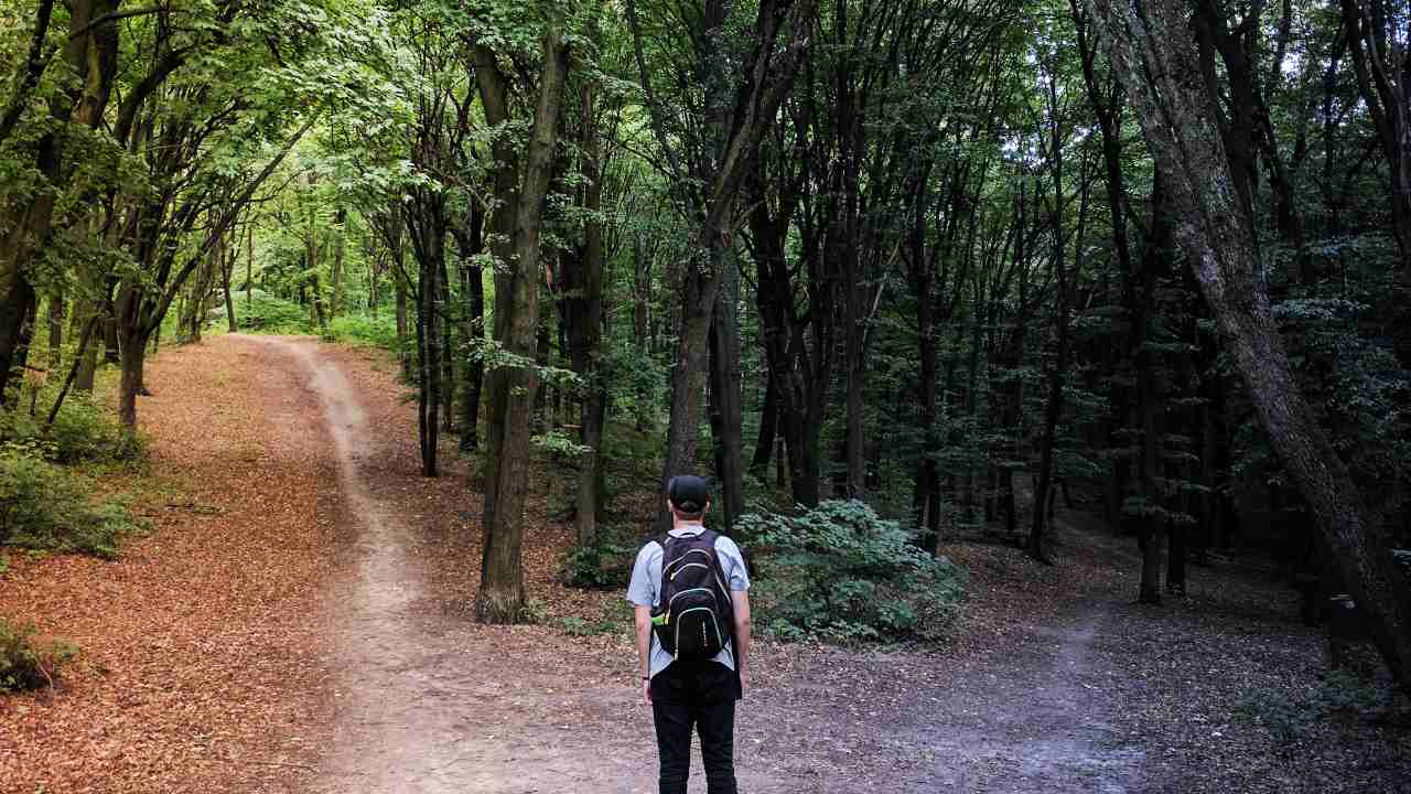 Stress can rob you of your decision making abilities and affect your capacity to formulate plans Stress can rob you of your decision making abilities and affect your capacity to formulate plans