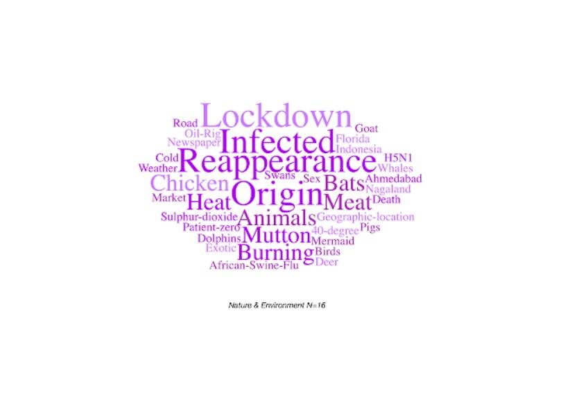 Wordcloud of all the tags associated with debunked COVID-related misinformation stories about nature and the environment.
